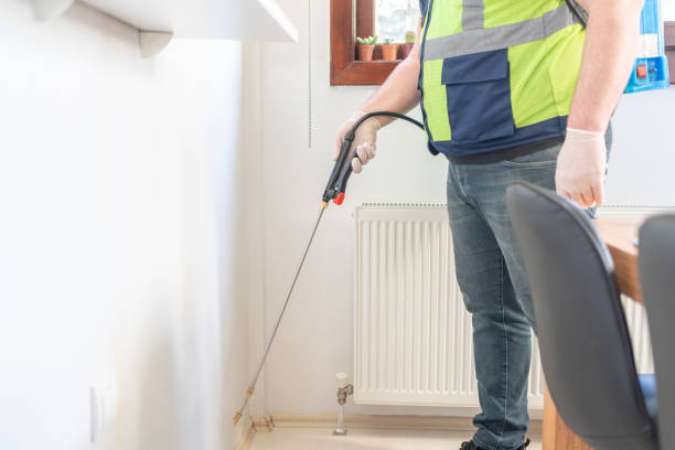 Reliable Ripon, CA Pest Control Solutions